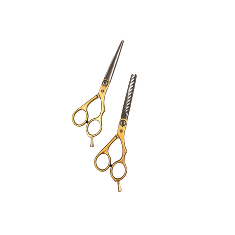 HAIR ART PROFESSIOAL SCISSORS